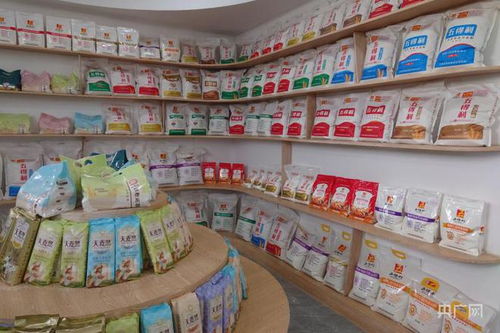 日产能9000吨！新乡面粉加工企业引领餐饮服务新篇章